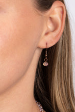 Load image into Gallery viewer, Priceless Plan