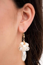 Load image into Gallery viewer, Captivate- 2019 Zi Collection